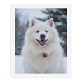 thumbnail image 5 of Paint By Numbers Kit for Adults Beginner - DIY White Dog In Snowy Landscape Canvas Painting Kits for Adults, Frameless Paint By Number for Adults for Home Wall Decor 16x20 Inch, 5 of 7