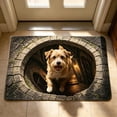 thumbnail image 6 of HCBY Doormat, 15.7x23.6in 3D Illusion Funny Welcome Mat, Non-Slip Absorbent Floor Rug, Humane Pet Deterrent Mat for Entryway Indoor Outdoor, 6 of 6