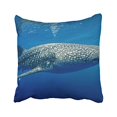 thumbnail image 1 of RYLABLUE Decorative Characteristic Whales Animal Whale Shark Pillowcase Size 18x18 inches Two Side, 1 of 1