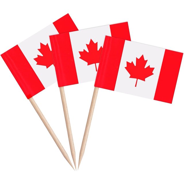 100 Pcs Canada Toothpick Flag Toothpicks Flags for Cocktail and Cake Decoration at Parties Celebrations and Sports Events