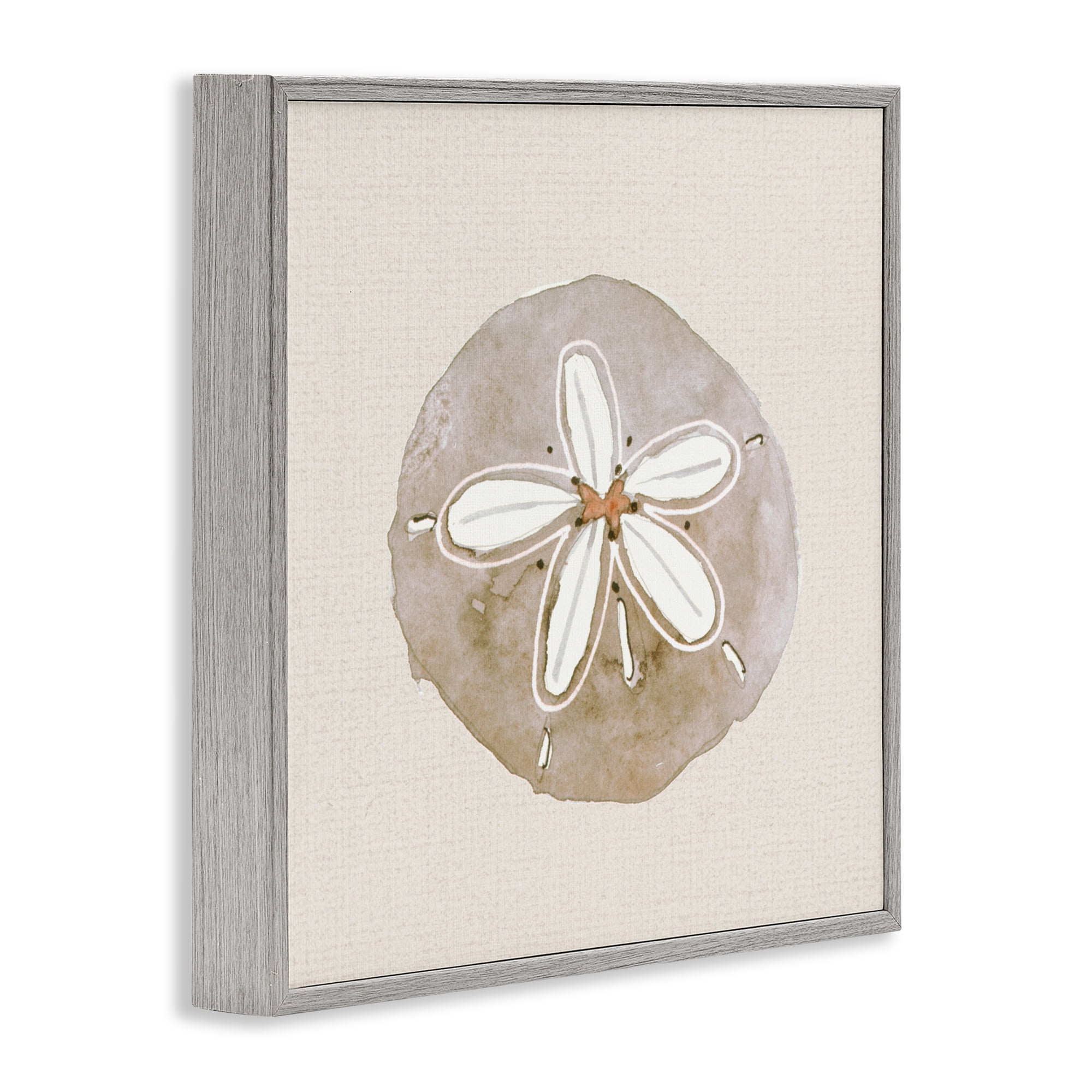 Stupell Industries Serene Beige Sand Dollar Gray Framed Giclee Art, design by Lanie Loreth