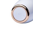 thumbnail image 2 of vino Decantador de vino recargable por USB profesional con tubo de conexión telescópico de acero inoxidable ajustable actualizado Regalo de vino para mamá Esposa XianweiShao 9024715969965, 2 of 4