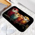 thumbnail image 6 of 1pc Four Colorful Owls Absorbent Non-Slip Bathroom Thickened Flannel Rug Decor,Soft,Quick Drying,Suitable For Indoor/outdoor Use,Bathrooms,Bedrooms,Kitchens,Terrace,Laundry Rooms,16"x24", 6 of 9