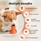 thumbnail image 3 of Juguetes interactivos para cachorros dispensadores de golosinas, huesos de perro para masticadores agresivos, juguetes para perros súper masticables duros, 3 of 5