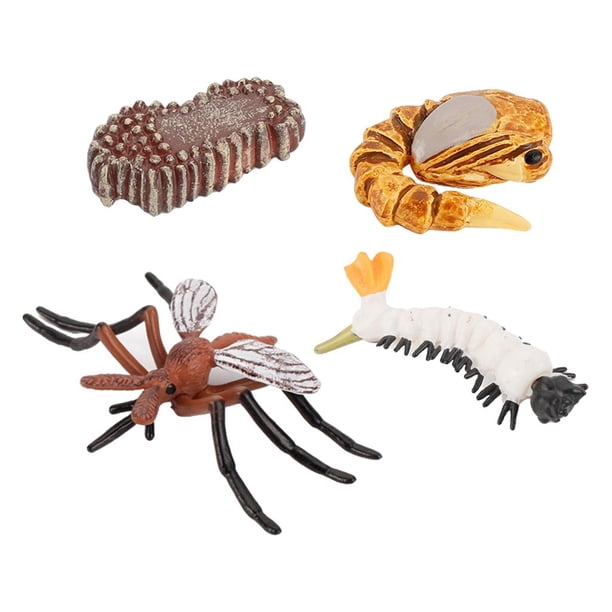Juguete educativo CUTICAT Juego de crecimiento de insectos para niños