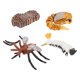 thumbnail image 1 of Juguete educativo CUTICAT Juego de crecimiento de insectos para niños, 1 of 8