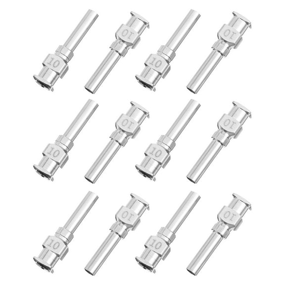 LOLIPPYY 12Pcs Plated Silver Stainless Steel Precision Luer Lock Dispensing Needles Durable and Strong