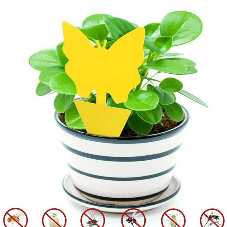 Frogued 20Pcs Flying Gnat Catcher Insect Dual Sided Yellow Sticky Trap  Indoor Outdoor (Butterfly #)