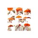 thumbnail image 5 of Self Adhesive Wall Key Holder Clothes Hook Rack Umbrella Stand Decorative Accessories Home Decor Accents Gift, 5 of 5