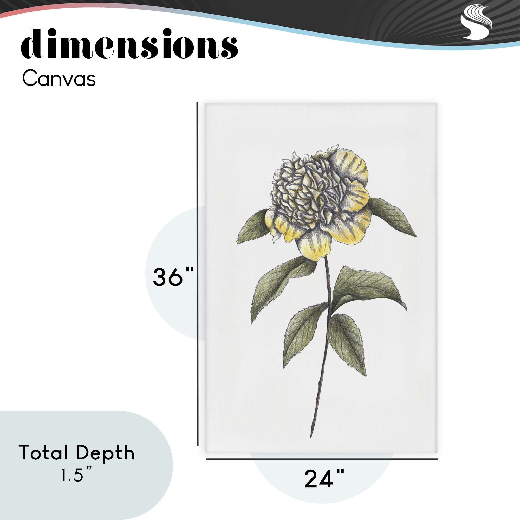 Camellia Flower Illustration Canvas Wall Art, design by Cecilia Battaini