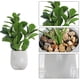 thumbnail image 3 of Cuenca de cemento de simulación, hoja de rábano verde, hoja trasera de tortuga, planta en maceta, decoración para el hogar, sala de estar, escritorio, decoración de plantas verdes, 3 of 5
