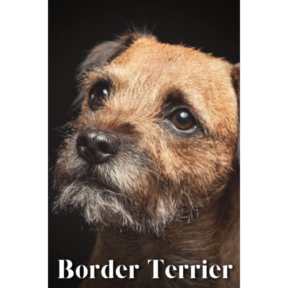 Border Terrier: Dog breed overview and guide (Paperback)