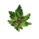 thumbnail image 1 of Ramo de follaje artificial de sedum de plástico con hojas grandes para decoración del hogar y bodas, 1 of 9