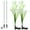 White, variant on Luxtrada Outdoor Solar Stake Lights - 2 Pack Solar Powered Lights with 8 Lily Flower, Multi-color Changing LED Solar Stake Lights for Garden, Patio, Backyard