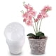 thumbnail image 4 of 5 piezas de maceta de plástico de 5 pulgadas para orquídeas, maceta transparente para plantar orquídeas, maceta de red para control de raíces con agujeros ER, 4 of 5