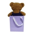 thumbnail image 5 of Way to Celebrate Mother's Day Plush Bear In Bag, 8inch, 5 of 5