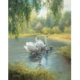 thumbnail image 2 of Weber, Max 20x24 Gold Ornate Wood Framed with Double Matting Museum Art Print Titled - Swan Family I, 2 of 4