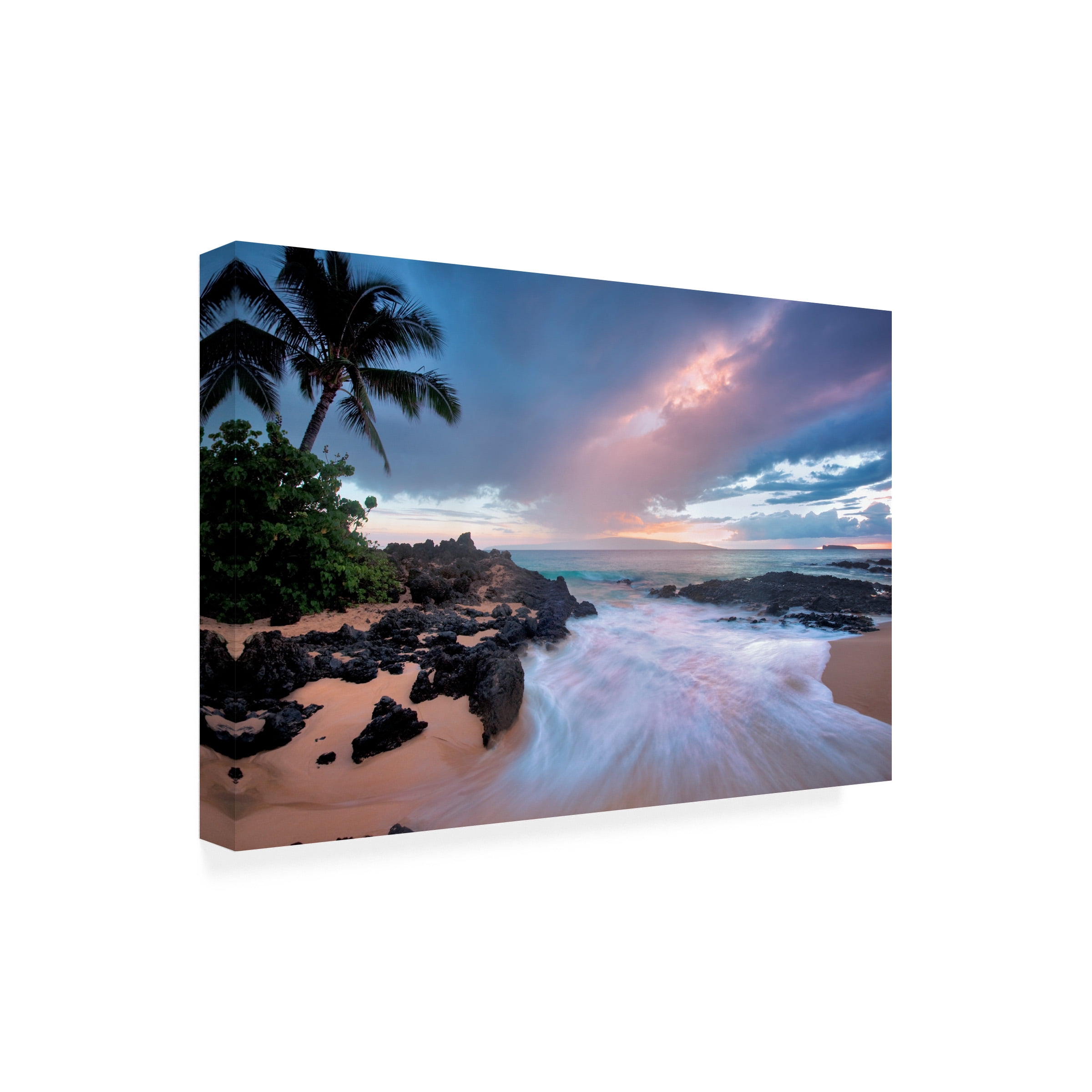 Dennis Frates 'Palms 13' Canvas Art