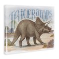 thumbnail image 3 of Stupell Industries Eclectic Triceratops in Nature Canvas Art, 20 x 16, by Raquel Maciel, 3 of 8