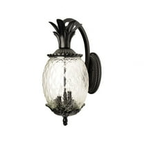 Acclaim Lighting - Lanai - Three Light Outdoor Wall Mount - 10 Inches Wide by