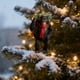 thumbnail image 5 of Christmas Ornaments Christmas Decorations Christmas Tree Pendants 2D Flat Printing Acrylic Pendants, 5 of 6