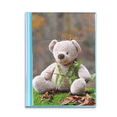 thumbnail image 1 of Bear Forestry Science Nature Book Sheet Protectors Portfolio Binder Folder, 1 of 3