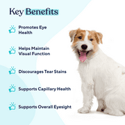 Pawfy Eye Support Soft Chews | Prevent Tear Stains | Overall Eye Health | with Krill Oil