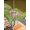 Emerald Green, variant on Pink Happy Easter Outdoor Tablecloth - 60x60 Inch Square Dining Table Cover, Spring Easter Eggs Floral Wooden Waterproof Outdoor Table Cloth with Umbrella Hole & Zipper for Picnic/Patio/Party