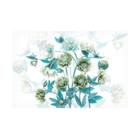 Trademark Fine Art Jacky Parker Flourishing Canvas Wall Art