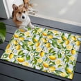 thumbnail image 3 of 2x3 Ft Entryway Area Rug, Summer Lemon Kitchen Rug Runner Washable Floor Mat, Yellow Green Watercolor Botanical Blue Plaid Non Slip Indoor Door Mat Throw Carpet for Bathroom Living Room Bedroom, 3 of 8