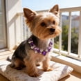 thumbnail image 6 of Dxssxc Adjustable Crystal Rhinestone Pet Necklace Bling Jewelry for Small Medium Dogs Cats, Wedding Party Holiday Pet Collar Accessory, Cute Gift for Pet Lovers, 6 of 6