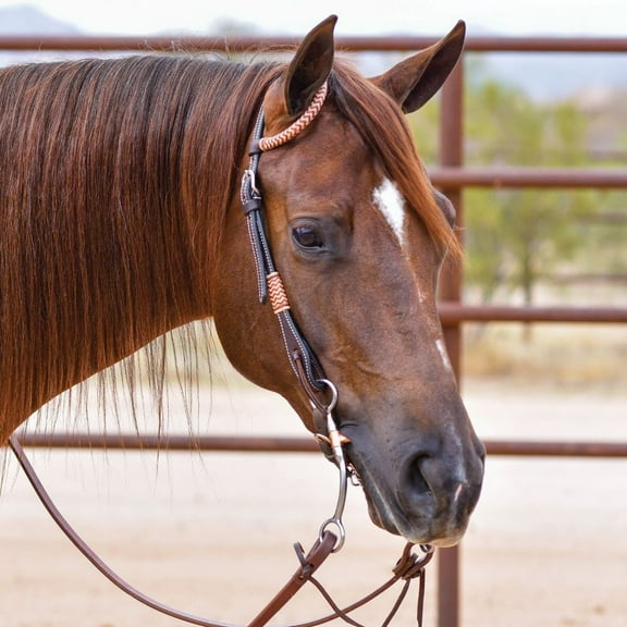 Schneiders Double S Harness Leather One Ear Headstall |Horse Essential |Dark Oil