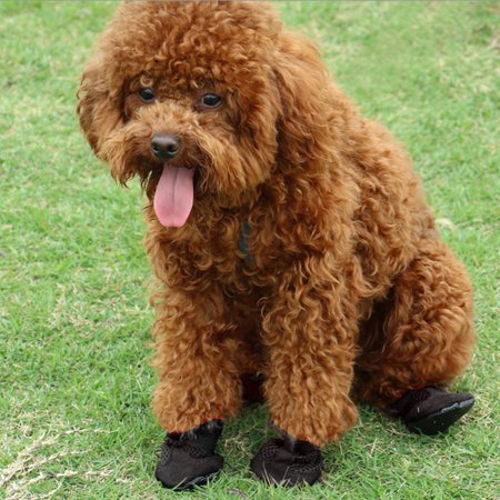 4Pcs Fancy Dress Shoes Breathable Mesh Slip Paws Ptotect Boots Red Black 3