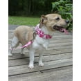 thumbnail image 2 of Country Brook Petz® Pink Hawaiian Martingale Dog Collar and Leash, Medium, 2 of 7