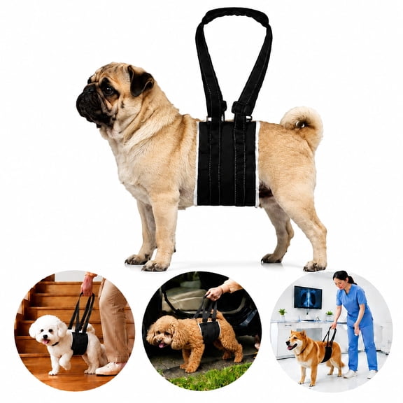 Adjustable Dog Lift Harness, Portable Dog Sling for Back Legs, Small Dog Support Harness for Senior Injured Disabled Dogs ACL Surgery Recovery, Size S