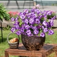 thumbnail image 4 of Summercome Artificial Hibiscus Flowers 19" Faux Impatiens Outdoor Planters Purple Artificial Tropical Flowers Realistic UV Resistant Silk Flowers for Outside Front Porch Spring Summer Decor, 4 of 7
