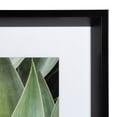 thumbnail image 6 of Kate and Laurel Calter Green Succulent Leaves Matted Framed Print Under Glass Art Set by Amy Peterson, 15.5x15.5-inches/each, Black, 6 of 6