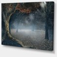 thumbnail image 2 of Big Trees in Dark Foggy Forest, 2 of 3