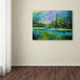 thumbnail image 3 of Trademark Fine Art 'Summer Valley' Canvas Art by Marion Rose, 3 of 3