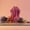 Merlot Glow, variant on Veil Sculptural Candle • Deep Ocean Patchouli (Small)