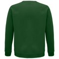 thumbnail image 4 of SOLS - Jersey Space Raglan para Adultos Unisex (Verde Botella), 4 of 5