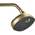 Versatile 1.75 gpm shower head in vibrant brushed modern brass
