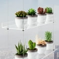 thumbnail image 2 of Estantes acrílicos ajustables de 16 pulgadas para plantas Otniap de 3 niveles, 2 of 9