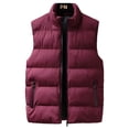 thumbnail image 1 of LUXUR Manteau Homme à Fermeture Éclair Complète Mode Automne Rouge m, 1 of 3