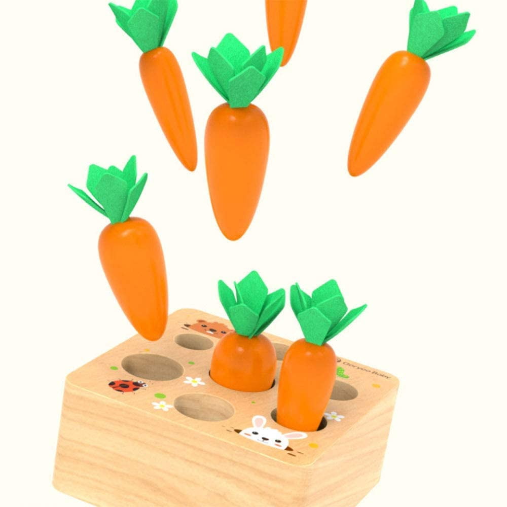 Counting Puzzle Game Carrots Harvest 
