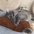 thumbnail image 2 of BESTSKY Interactive Cat Toy,Crinkling Effect Cat Stuff,Excites and Stimulates Cats Kitten Toys,Brown,30.5cm, 2 of 5