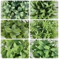 thumbnail image 3 of Coolmade 6 Packs Fake Plants Mini Artificial Greenery Potted Plants for Home Office Table Room Farmhouse Decor Indoor, 3 of 7