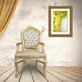 thumbnail image 3 of Millet, Karyn 23x32 Gold Ornate Wood Framed with Double Matting Museum Art Print Titled - White Flowers II, 3 of 4
