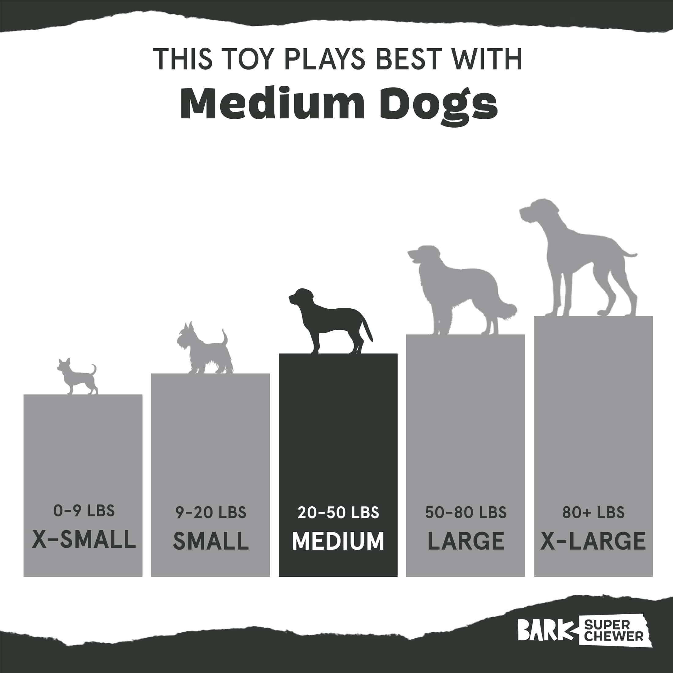 BARK A Squeaky Meatball Dog Toy for Active Pups