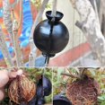 thumbnail image 5 of 6Pcs Plant Rooting Box, Plant Rooting Grow Box, High Pressure Propagation Ball Grafting Device for Garden Grafting (S、M、L), 5 of 5